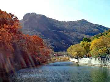 管家婆黑白马报图库，岫岩河磨玉